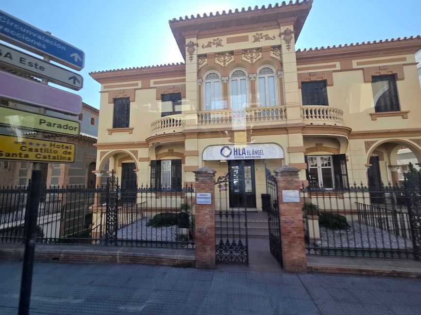 Hufe, Hüften, Flamenco – Mein Pferdeabenteuer in Málaga bei El Ranchito