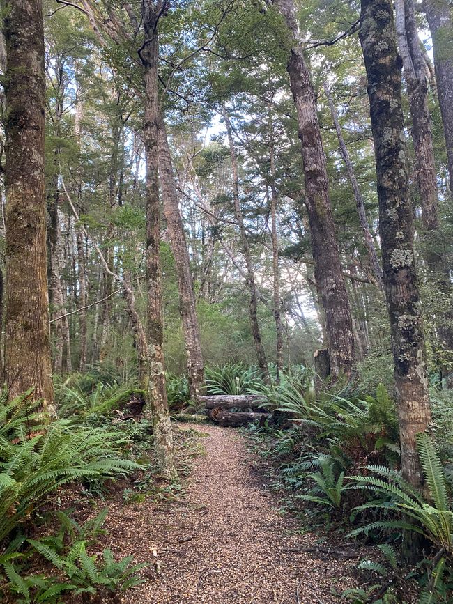 Von den Bergen ans Meer