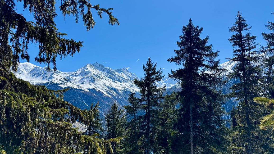 Weisshorn vom Pierre d‘Avoi
