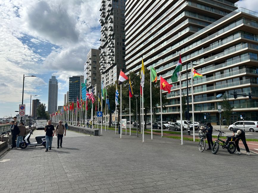 Vague de surf Rotterdam