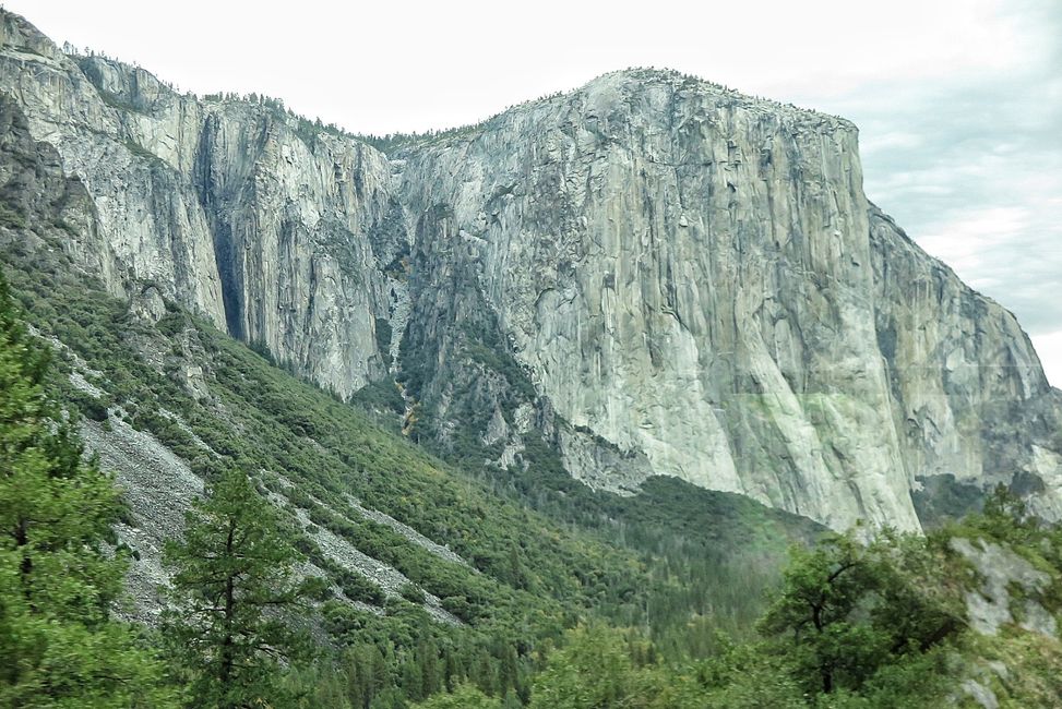 El Capitano