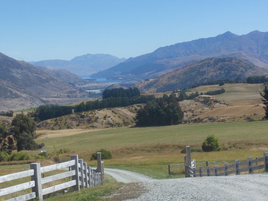 2025-02-26 Wanaka, Nuova Zelanda