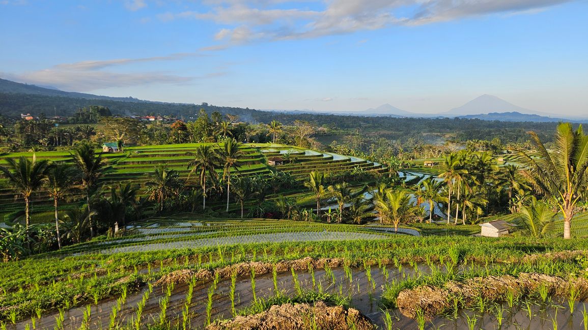 Ubud