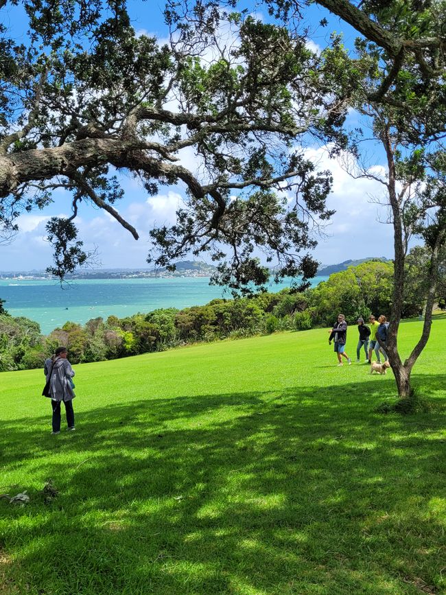 Day 79 of 175: World Cruise - Auckland/New Zealand