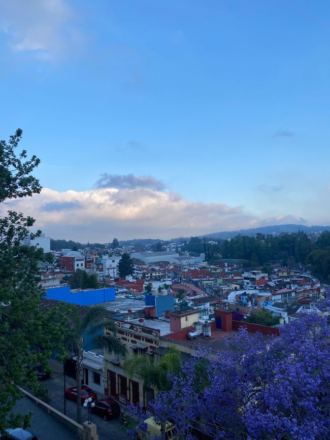 Xalapa