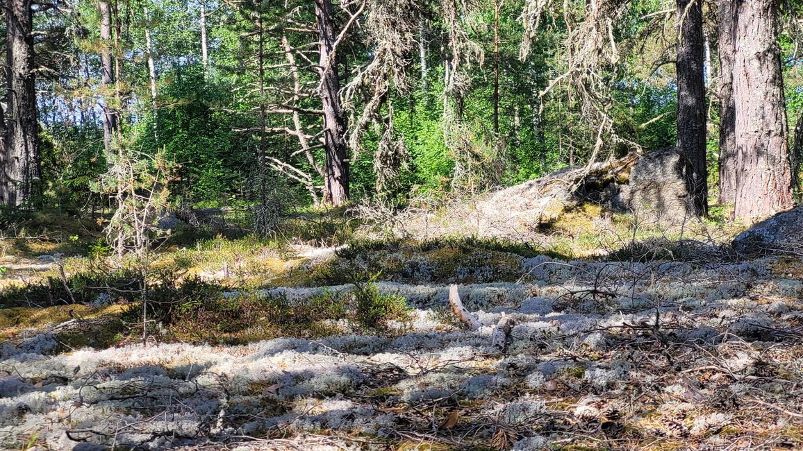 Finnland 31.Mai-14.Juni 2024/3.Juni