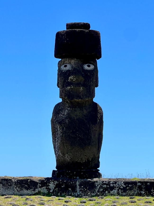 Der wohl best erhaltene (wiederhergestellte?!) Moai