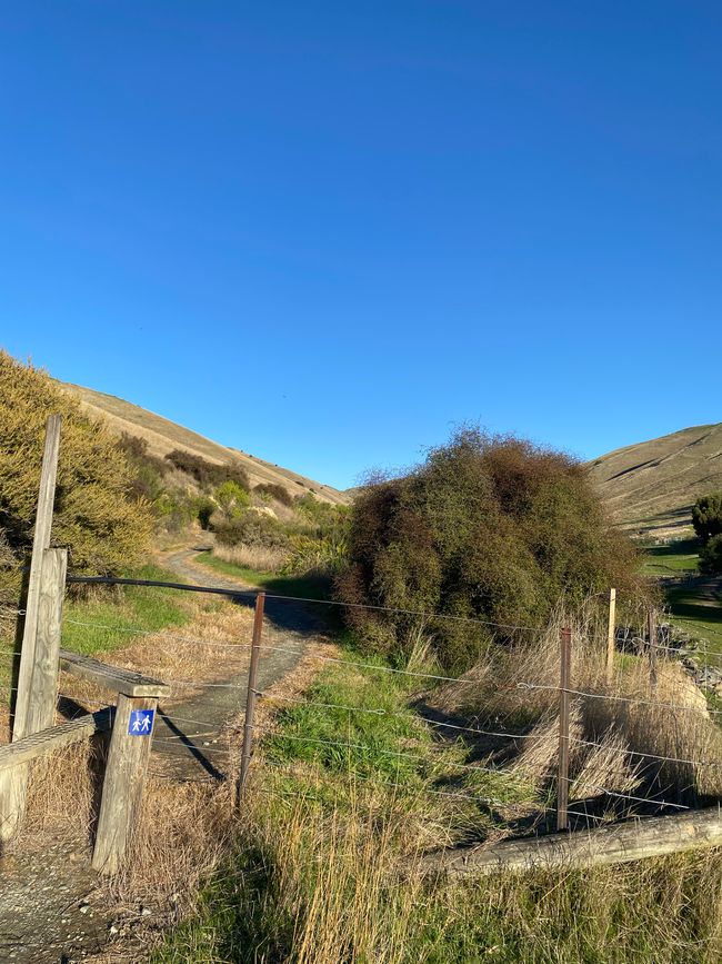 Nelson, Queen Charlotte drive, Picton, Kaikoura, Blenheim