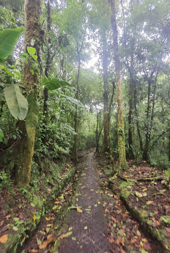 Nationalpark vulcano Arenal
