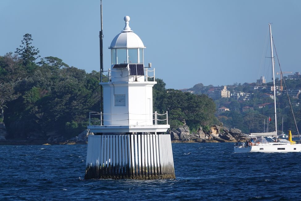 Sulle spiagge di Manly ....