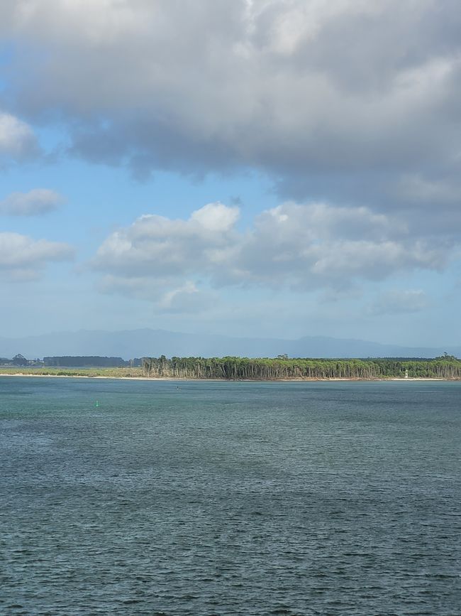 Día 68 de 175: Crucero alrededor del mundo - Tauranga/Nueva Zelanda