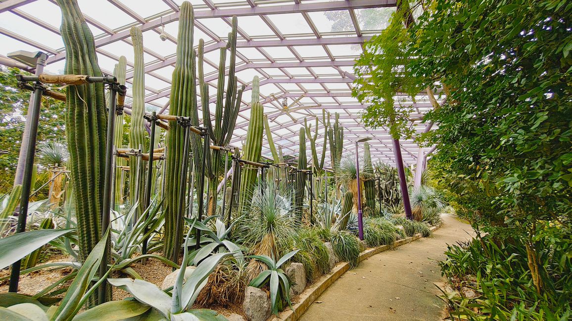 Gardens by the Bay