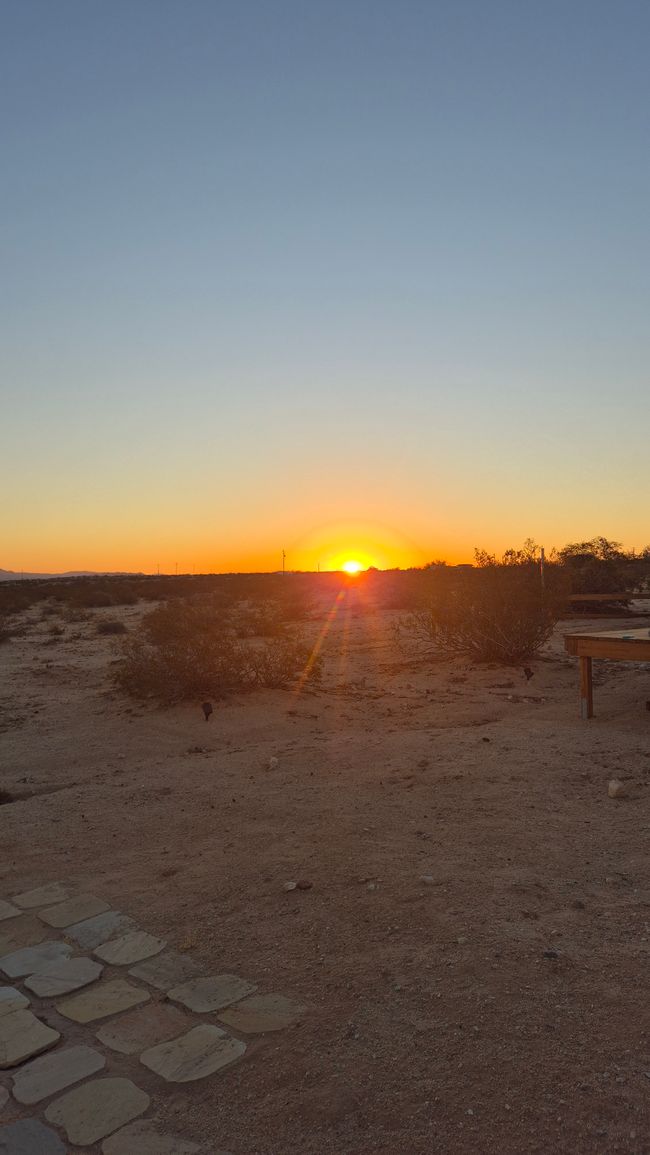 26.09. Joshua Tree Park