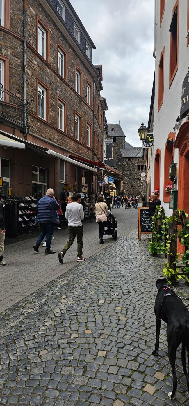 Cochem sul Mosella