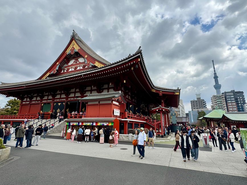 Parte 7
BENVENUTO IN GIAPPONE 🇯🇵
TOKYO