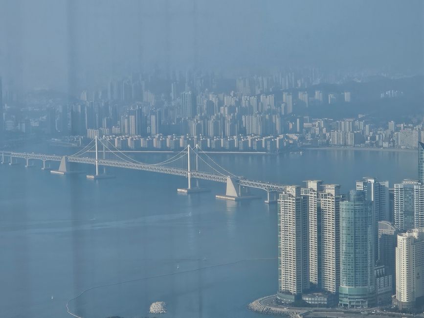 81. 标记釜山,韩国,2026年2月13日
