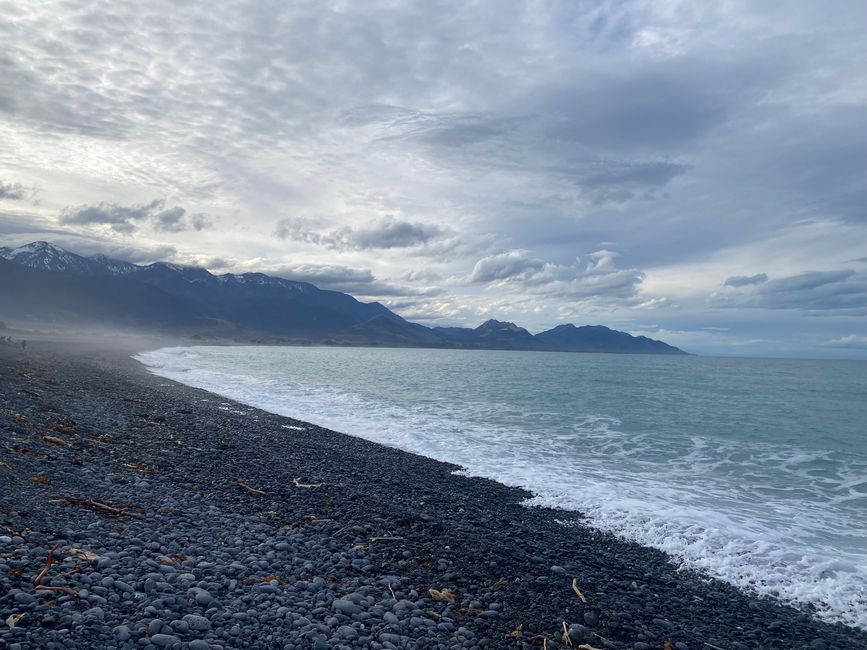 Nelson, Queen Charlotte drive, Picton, Kaikoura, Blenheim