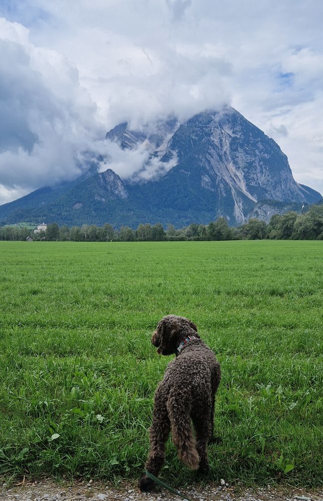 Kilani in der Steiermark 5. Tag