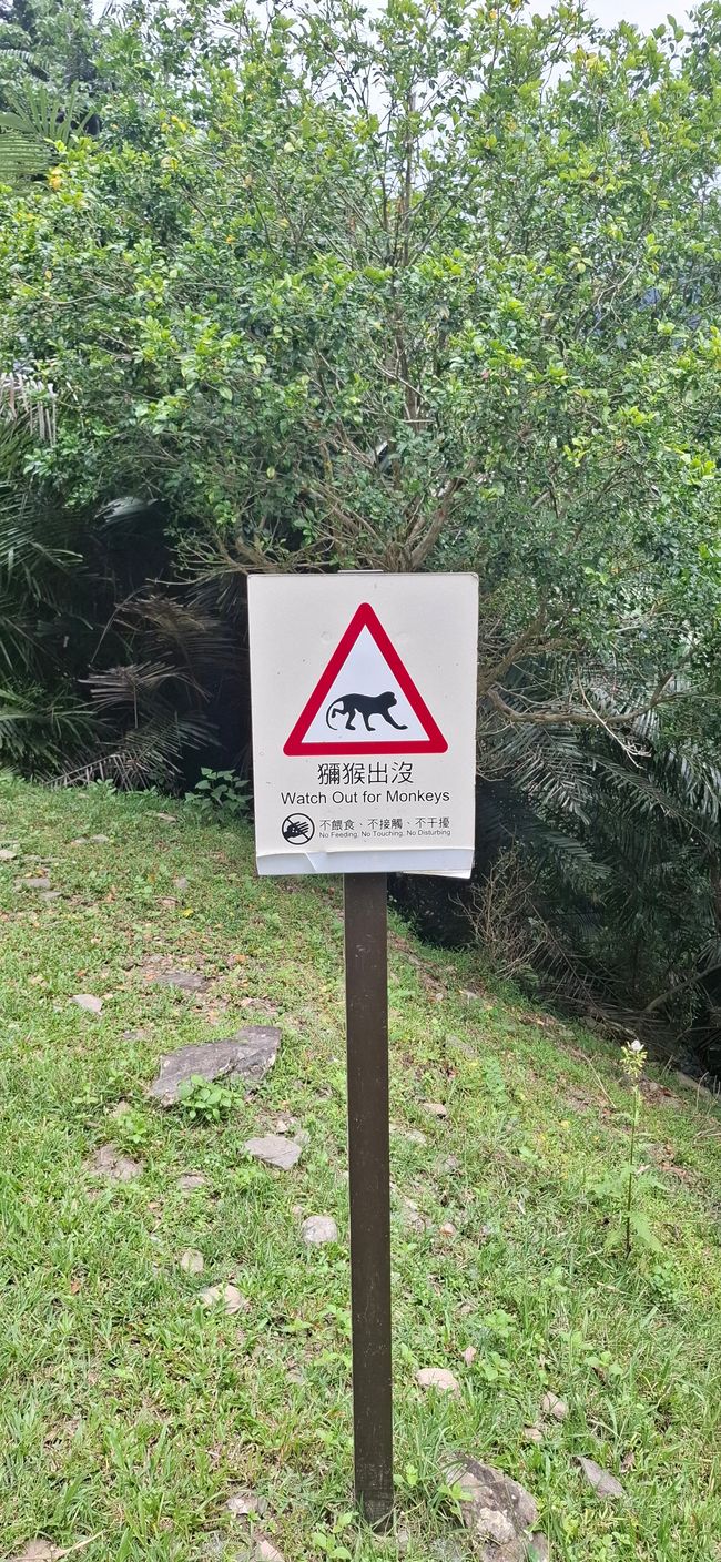 Zhiben Forest Park 1