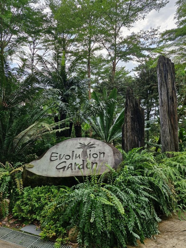 Evolution Garden