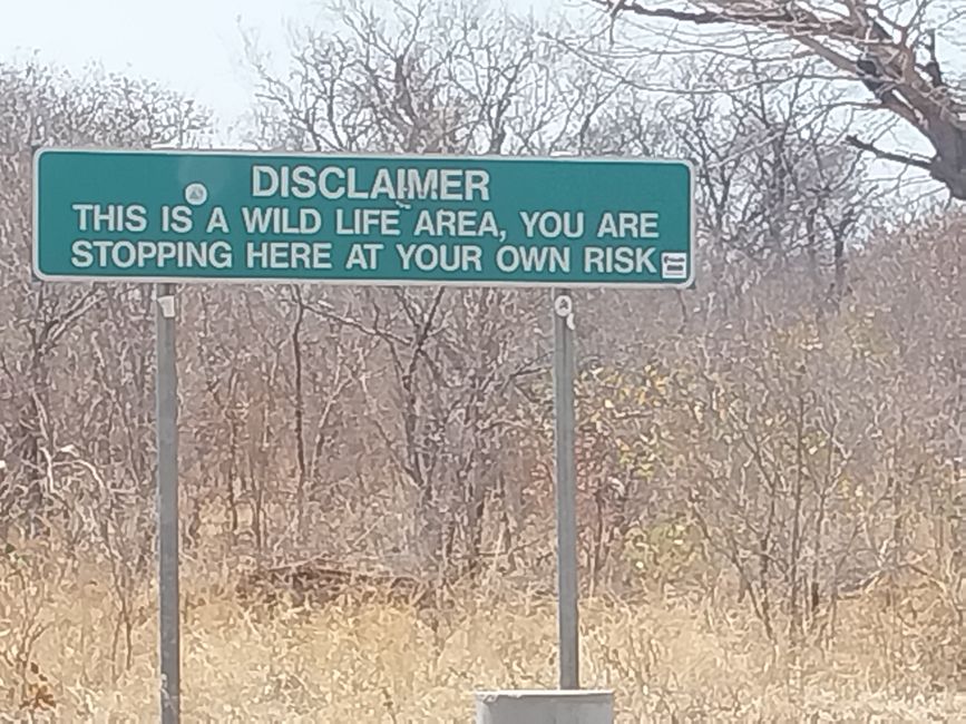 Elephant Sands: Stop-over on the way to the Okavango Delta