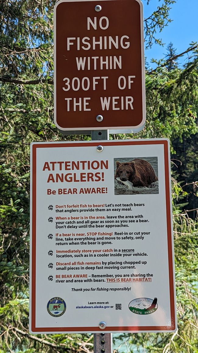 Day 26: Chilkoot River - a big bear show & photoshoot with 'Lulu'