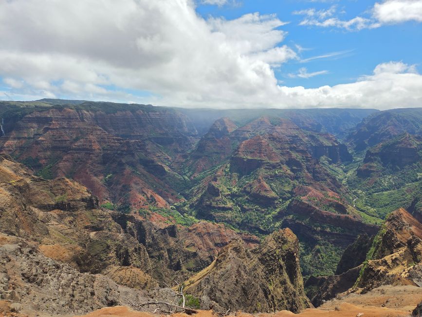Waimea Canyon 