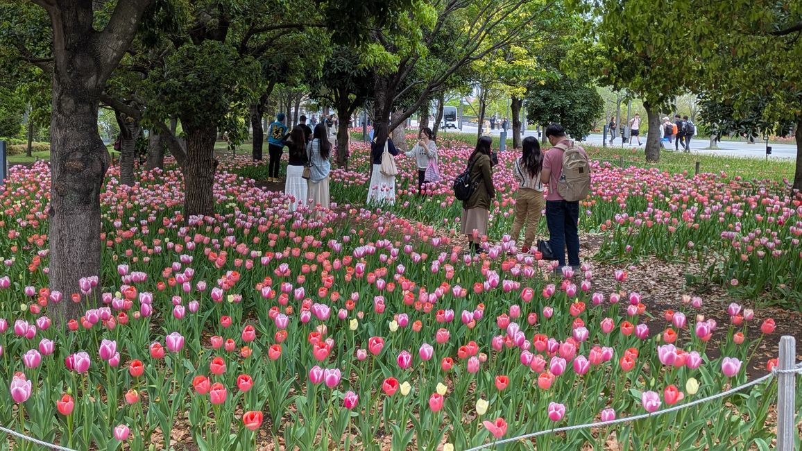 Prime impressioni di Tokyo