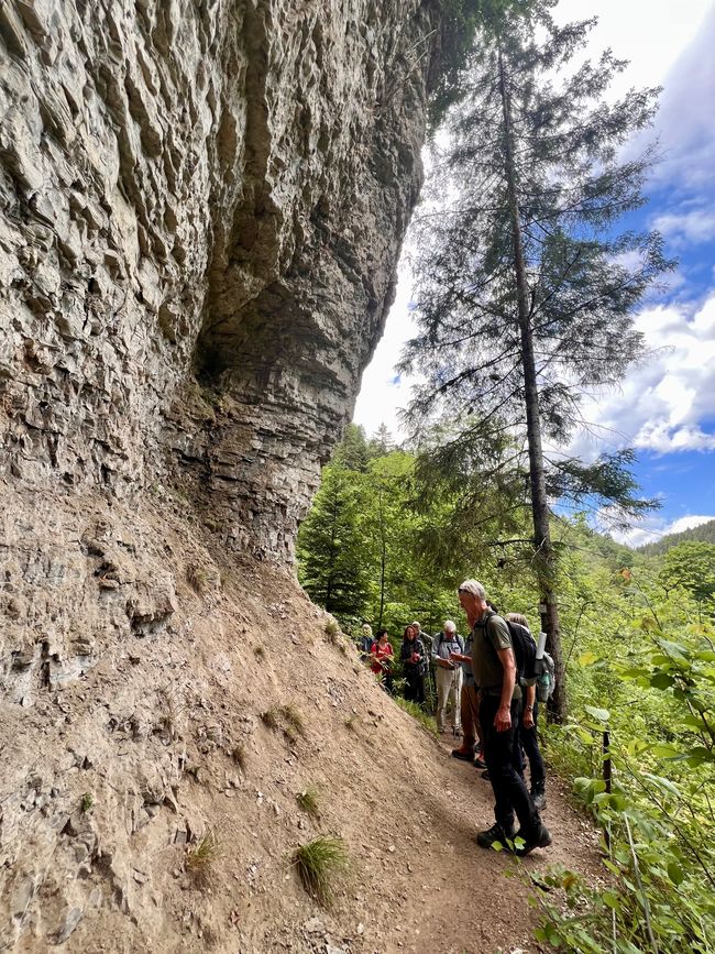 28 Wutachschlucht Pro Wolermoos