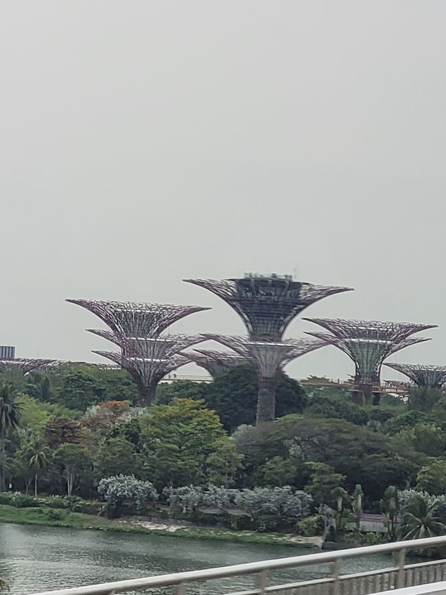 Tag 116 und 117: Kreuzfahrt rund um die Welt  - Singapur