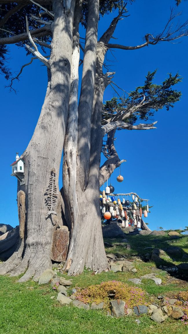 USA West Coast Roadtrip - Tag 6