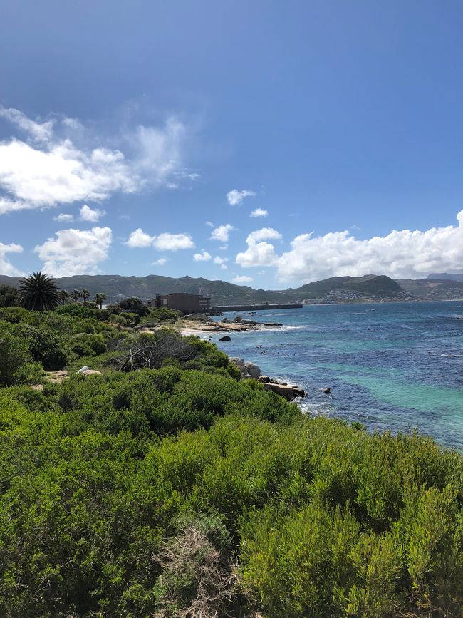 #5 - Ciudad del Cabo - En el Cabo de Buena Esperanza