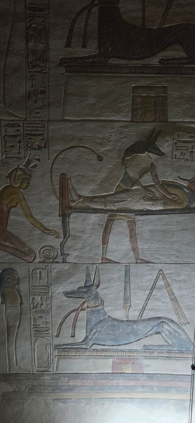 Zwischen Urlaub und Nebenwirkungen- Ägypten hautnah