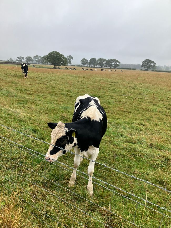 05.09.2024 Danby Wiske to Ingleby Arncliffe