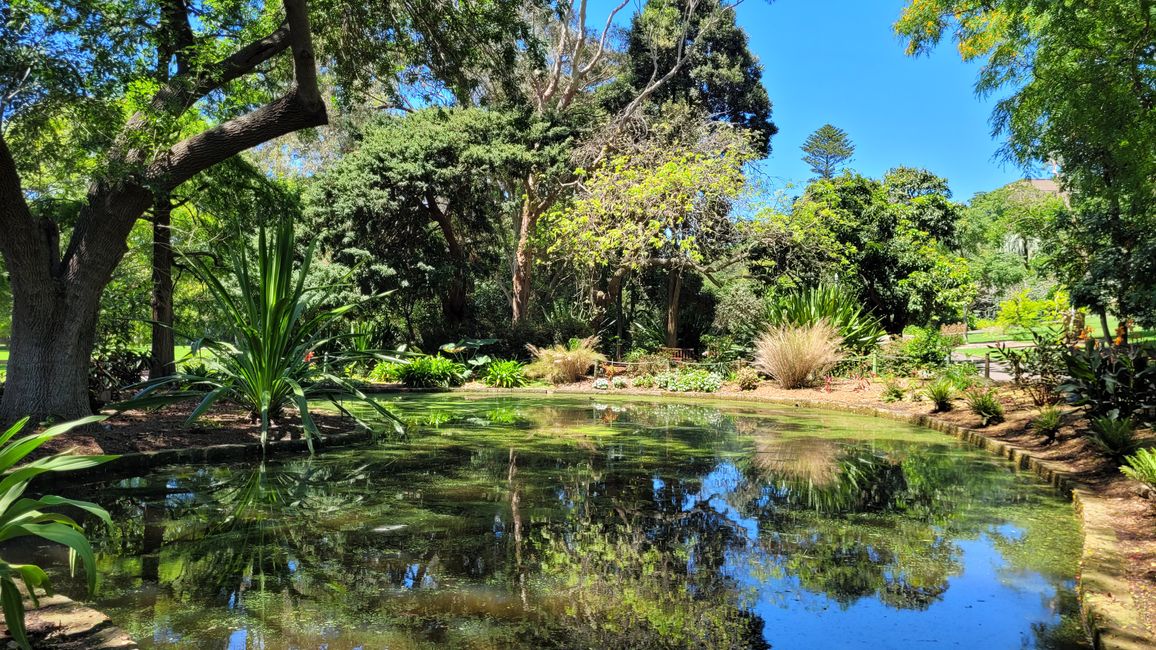 Heute königliches Programm – Royal Botanical Garden in Sydney