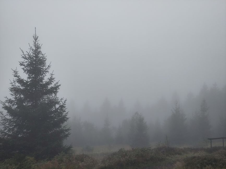 Rennsteig in the fog...