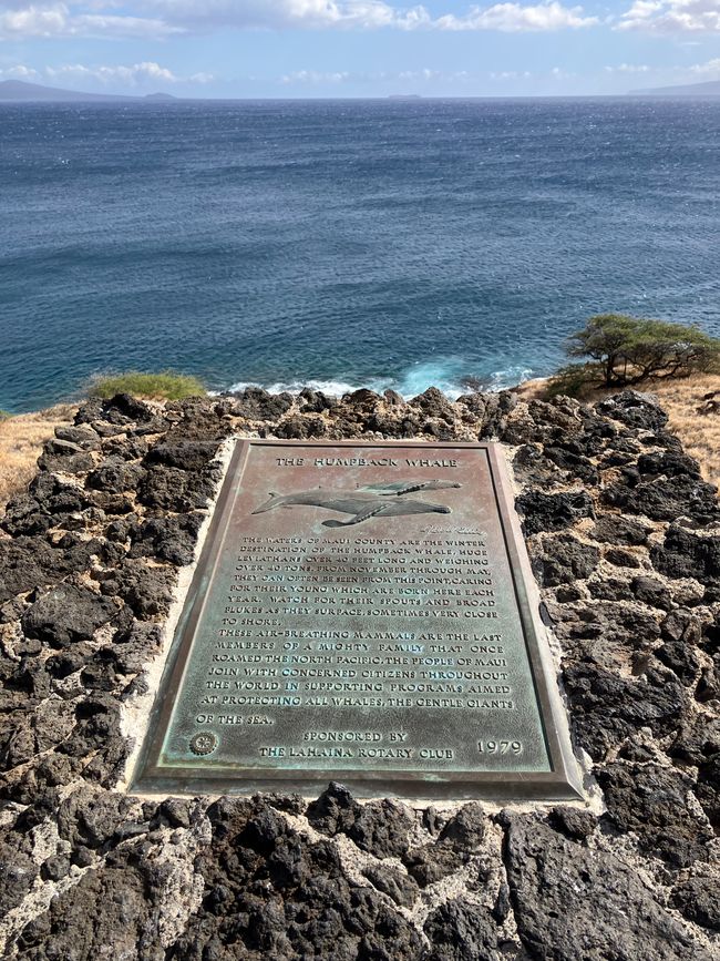 Punto de vista escénico Lageina Ukumehame hacia el cráter Molokini en el extremo derecho 