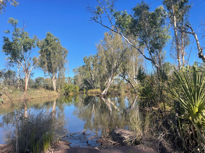 Bamboo Creek Durchfahrt 