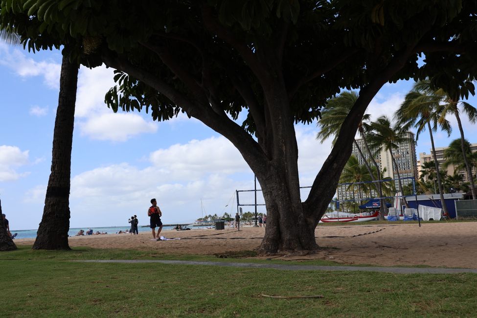 Addio alle Hawaii