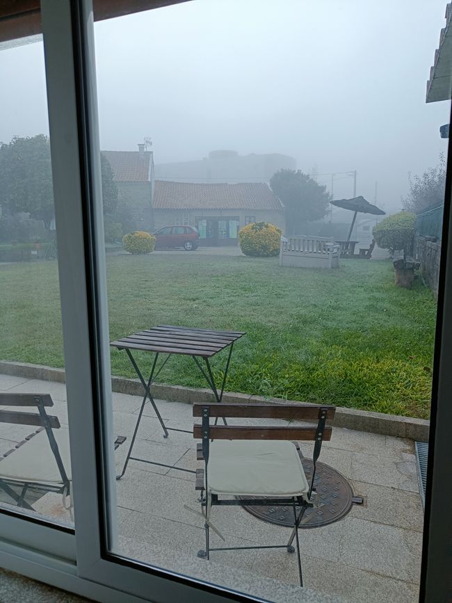 Una mattina nebbiosa 