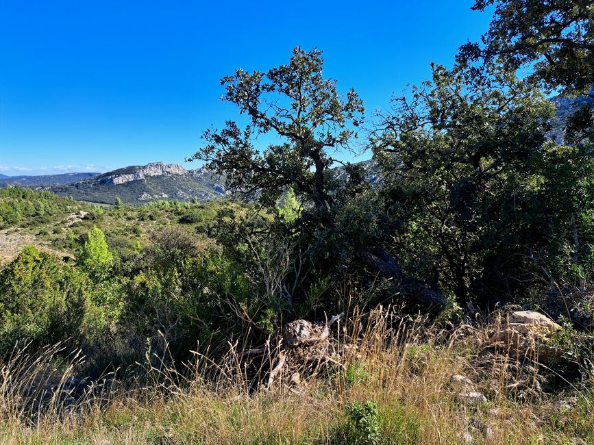 The Flavors of the Alpilles