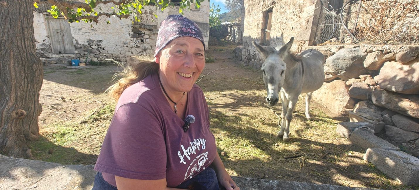 Donkey and Freddy