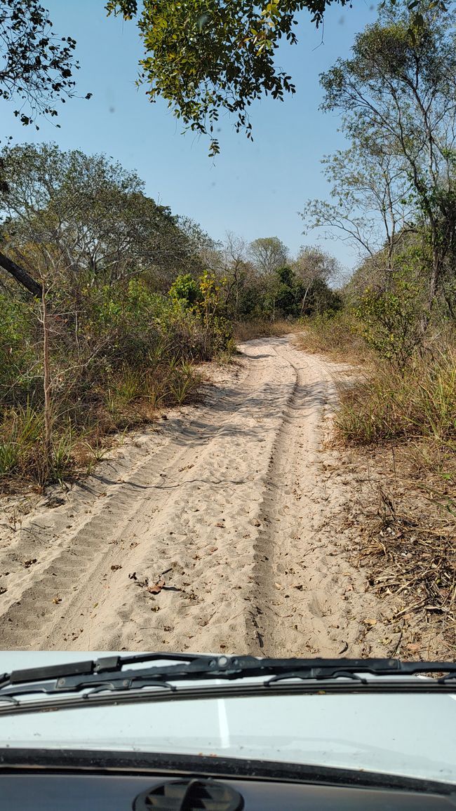 Brasilien, Durch das Pantanal