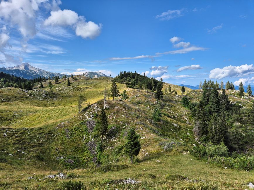 Nauf auf die Alm🐄