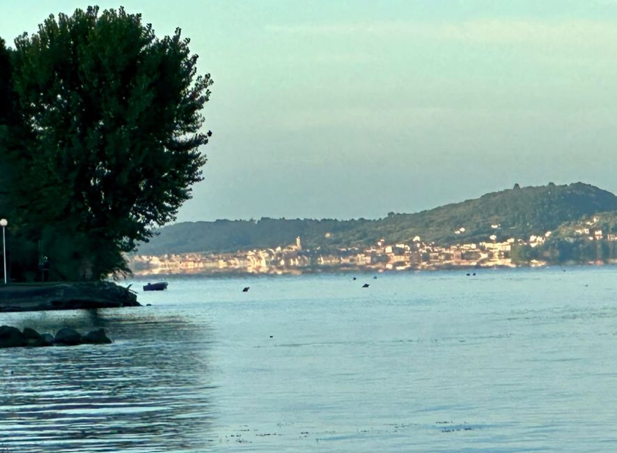 Good morning at Lake Bolsena 