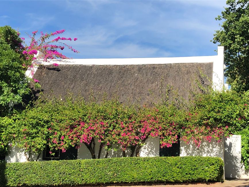 Peter Falke Wine Estate