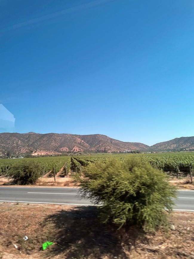 Vignobles