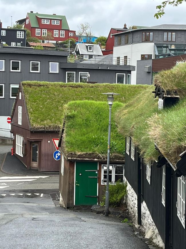 Ankunft in Island