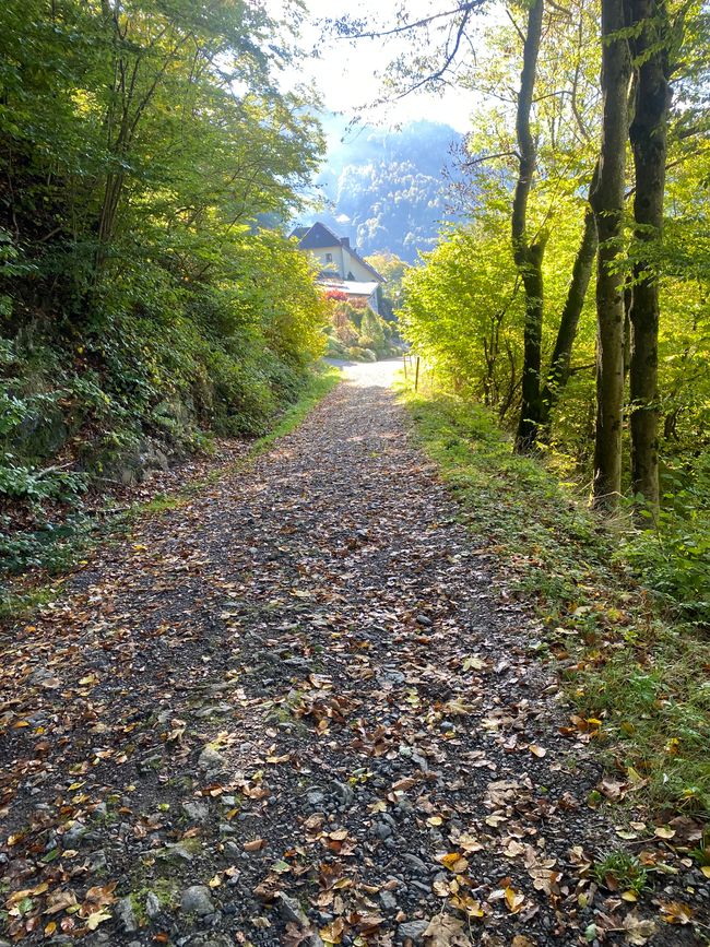 Hier geht es zum Alfred-Müller-Weg