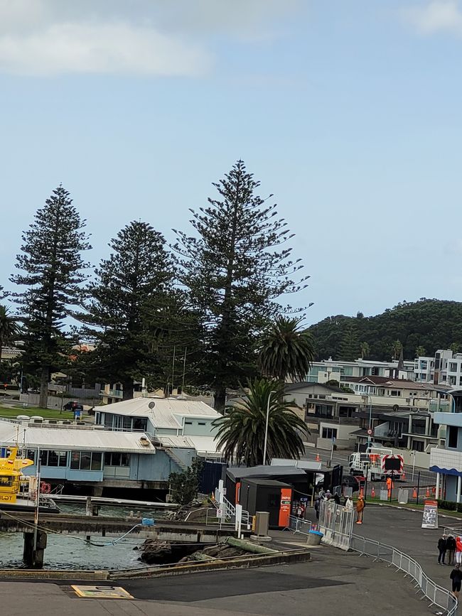 Día 68 de 175: Crucero alrededor del mundo - Tauranga/Nueva Zelanda